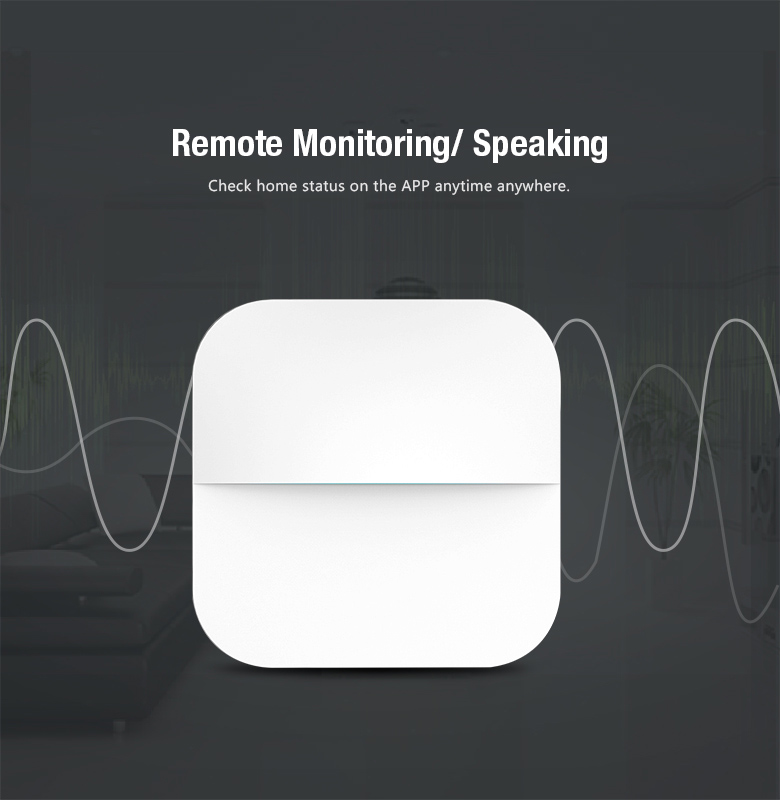 Remote Monitoring Speaking