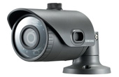 Camera IP hồng ngoại SAMSUNG SNO-L6013RP