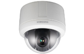 Camera IP Speed Dome SAMSUNG SNP-3120P