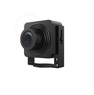 Camera HIKVISION DS-2CD2D21G0/M-D/NF IP ngụy trang